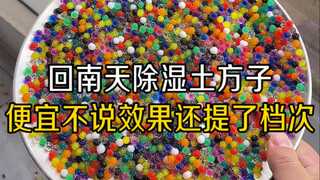 回南天除湿土方子～价格便宜不说效果还能提升一个档次