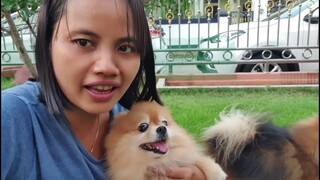 เล่นกับน้องๆ นั่งเฝ้าน้องๆวิ่งเล่นกันจ้า นุ่นแม่บ้าน ตั๊กแตน ชลดา