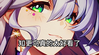 会进化的知更鸟！