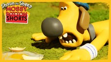 Shaun the sheep - EPS. Bitzer over easy Full Movie
