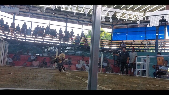 seven months gray nice one 16