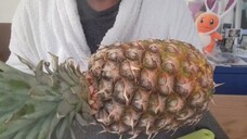 ASMR PINEAPPLE (EATING SOUNDS & QUESTIONING ABOUT WORK AND HOBBY)