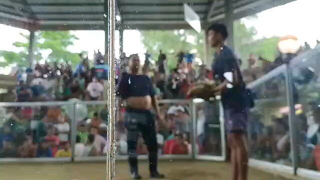 2 hits ulutan first fight win #grey, what a great come back