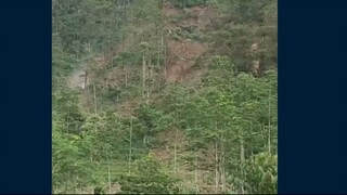 "pasca setelah erupsi gunung Semeru, semoga cepat membaik negriku,banyak bencana dimana mana, semoga