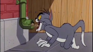 Tom: Siapa bilang aku belum makan Jerry's? Biarkan aku memakannya untukmu hari ini! ! !