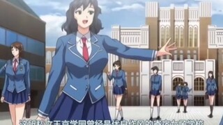 Anime Recommendations