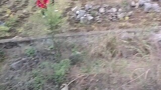 到底什么情况啊，兄弟？