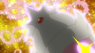 Pokemon Tập 1116: Nhảy! Koiking. Đội vương miện! Yadoking