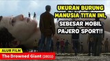 MAYAT MANUSIA RAKSASA TERDAMPAR DI TEPI PANTAI || Alur Cerita Film The Drowned Giant (2021)