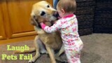 💥Laugh Pets Viral Weekly😂🙃💥of 2020 | Funny Animal Videos💥👌