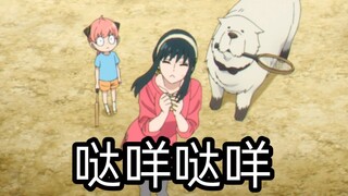 一只约尔吃醋的样子好可爱呀