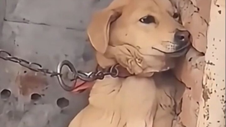 “Người ấy vun bồi công đức”