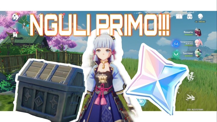 Temenin explore #2 - Nguli primo tipis tipis gasiii!? | Genshin impact