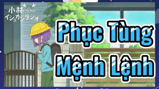 Phục Tùng Mệnh Lệnh