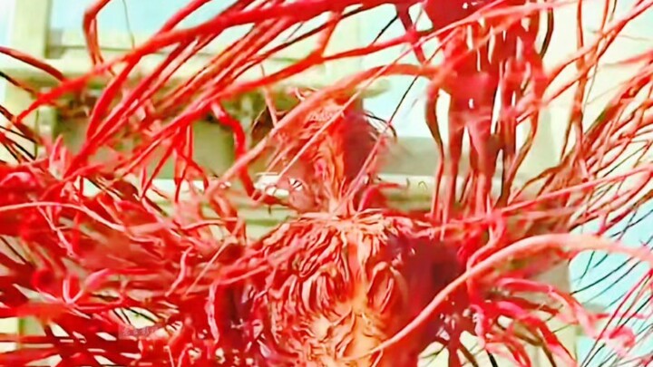 Ternyata seluruh makhluk di dunia ini harus diselamatkan oleh seorang pemuda penangkap ikan muda!