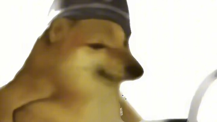 逆天人类学校处分 2