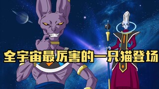 Dragon Ball Super 1: The strongest cat in the universe appears