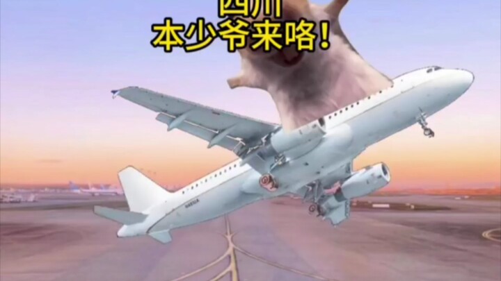 Ketika mahasiswa dari utara datang ke Sichuan untuk kuliah