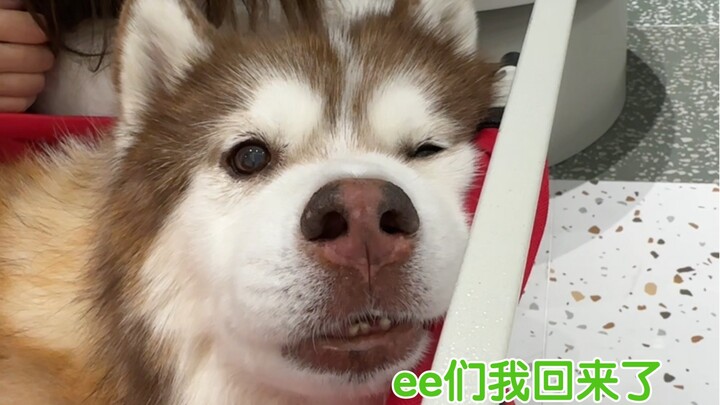 I know you’re all eager to watch, but hold on a sec—because I’m just as impatient!