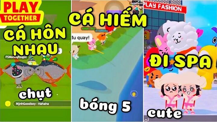 PLAY TOGETHER | NHỮNG VIDEO HÀI HƯỚC TRIỆU VIEW #22 | TIKTOK PLAY TOGETHER -  CỤT DỄ THƯƠNG