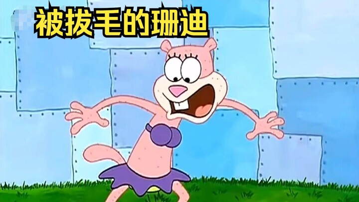 Karena takut dingin di musim dingin, Ersha sampai mencabuti semua bulu tubuh Sandy untuk menghangatk