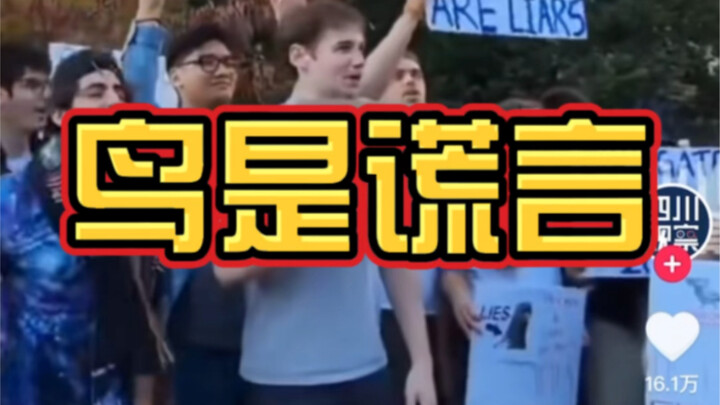 世界上的鸟都是假的你们相信吗！？美国纽约出现蜜汁小鸟游行活动，越是无知越是可以理直气壮，说好的独立思考呢？