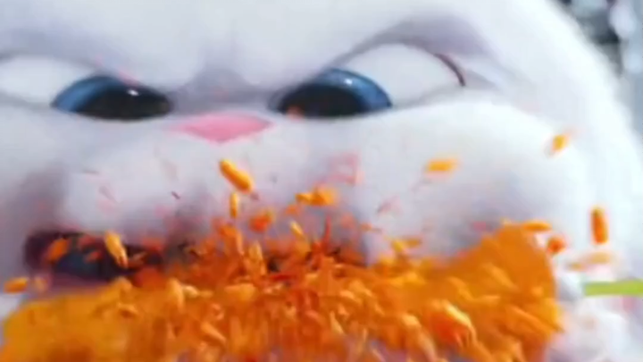 Carrot rain has fallen in the world of rabbits.