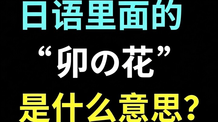 Apa arti “U no hana” dalam bahasa Jepang? 【Setiap hari satu kata asing dalam bahasa Jepang】