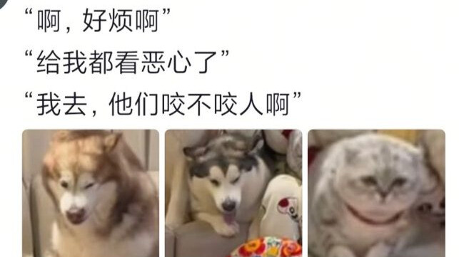 Teman bilang aku nggak punya anak, tapi tetap aja bawa anak mereka buat bikin aku iri mati.