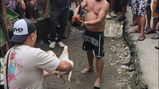 Oct 25 Pula vs Sinibalang