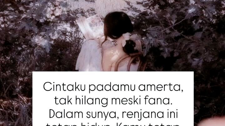 #AmorfattyBruttum#wpqq444#BWLgI