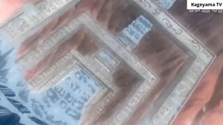 THẾ GIỚI TRONG ONE PIECE- 1