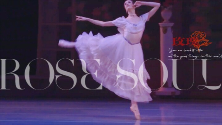 Hồn hoa hồng🌹 · Ballet 🩰 Cô đẹp như một bức tranh sơn dầu