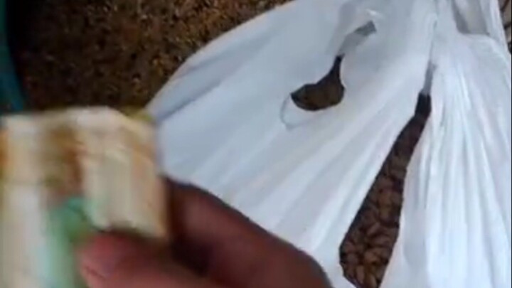 cat foods #cat