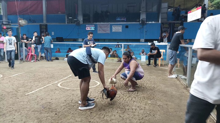 pasig square garden Rafael ( win ) hack fight