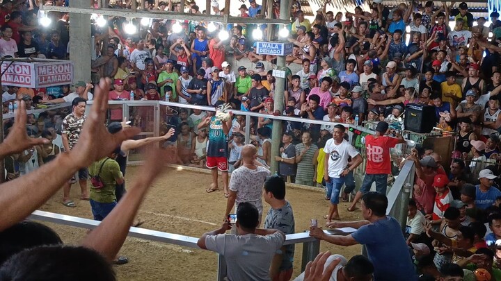 Sinibalang 2x winner 2nd Video 🐓