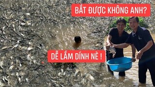 Đàn cá thiên nhiên được các MTQ hiếu kì hỗ trợ 1 tấn thức ăn...!