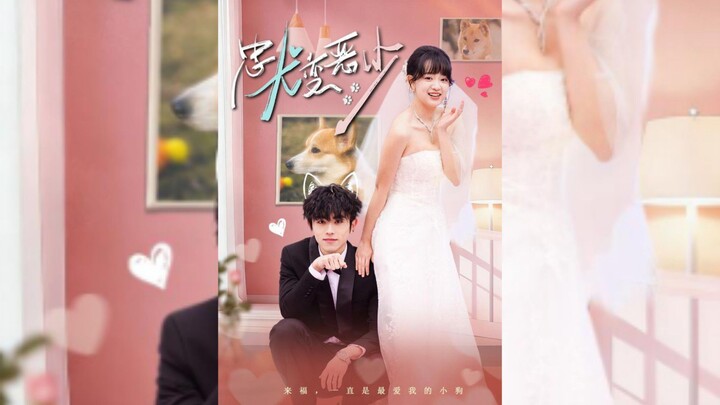 《惊!我家来福变恶少了&忠犬变恶少》Shocking! My dog,Laifu,Has Turned Into A Bully & A Loyal..| Cao JunKe & Zhao CaiZi