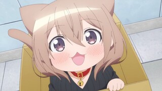 Di mana saya bisa menemukan kucing lucu seperti itu? Beri kami satu~