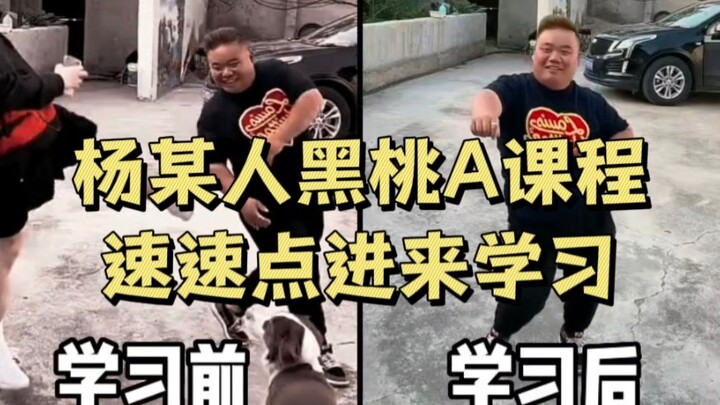 [Yang's Exclusive Ace of Spades Course] It's free! Come on in and learn!