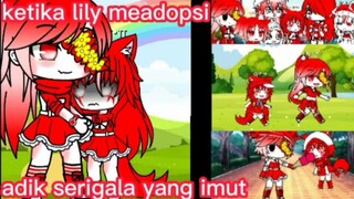 ketika lily meadopsi adik serigala yang imut