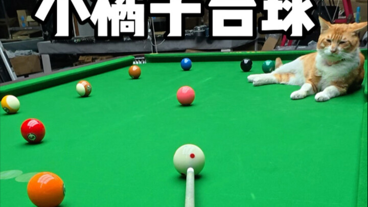 Little Orange Billiards