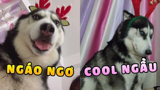 Ngáo Ngơ VS Cool Ngầu ? Bạn thích phong cách nào hơn 🤣 | Yêu Lu