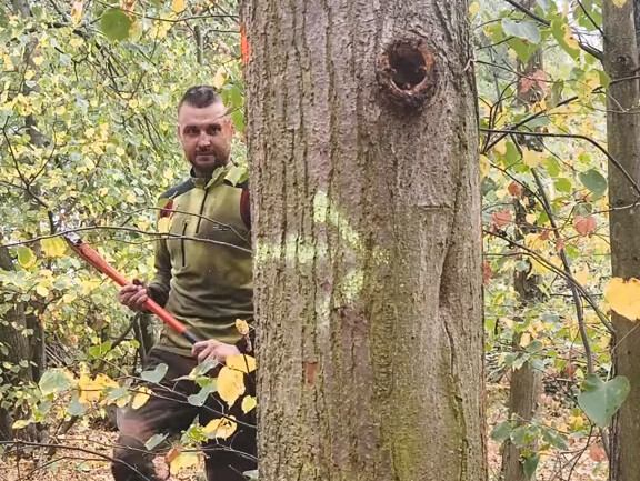 Watch this video if you’ve never been stung by a wasp