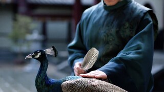 [Xiuqing|Prince Kang] Among all the emperors and generals in the whole play, only this father is nob