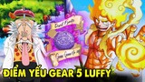 Tiết Lộ Điểm Yếu Gear 5 Luffy - Lucci Chơi Bẩn _ Dự Đoán One Piece 1070