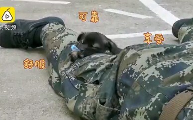 سرقت قبلة من أخي الجندي! لم أتوقع أنك كلب كهذا