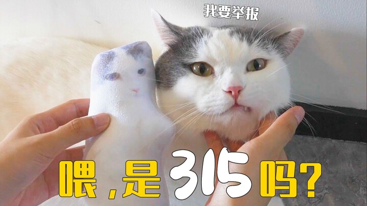หมอนข้างแมวหน้าตาแย่สั่งทำราคา 10 หยวน แค่แมวดูยังต้องถอนหายใจ!