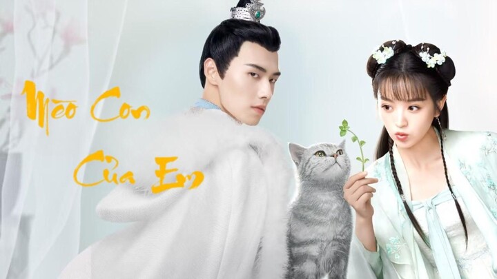 Mèo Con Của Em  - Tập 2