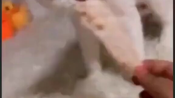 你在教我做事？